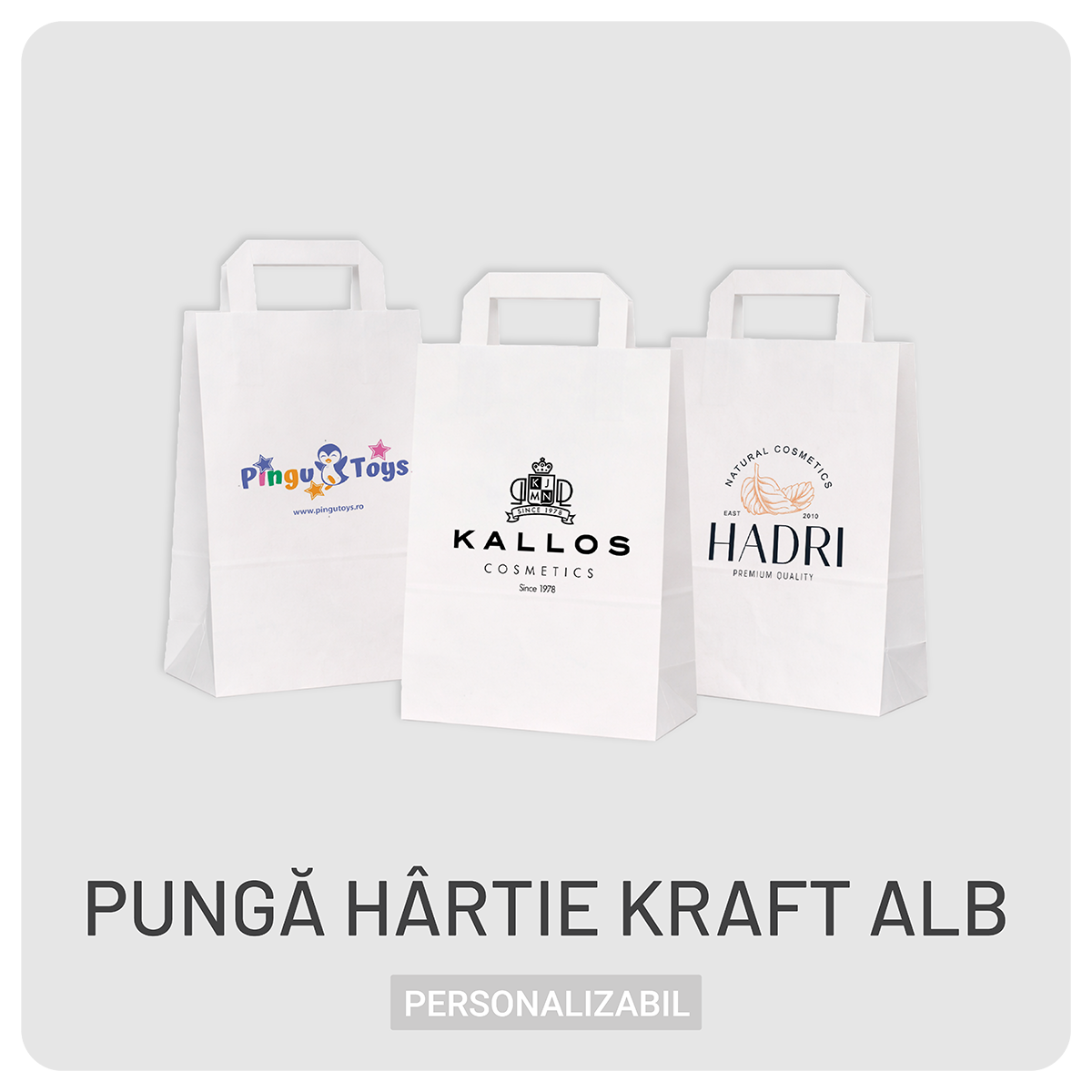 Pungă hârtie kraft alb – mâner flat